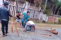 Người đi đường bị chó Pitbull lao ra cắn nát tay 