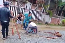 Người đi đường bị chó Pitbull lao ra cắn nát tay 