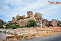 Lặng nhìn bức tranh phong cảnh đẹp ngơ ngẩn của Ninh Thuận