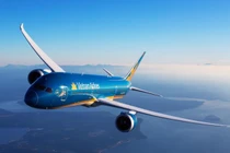 Máy bay Vietnam Airlines bị vỡ đèn dẫn đường vì va vào chim