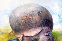 Soi quái thú khổng lồ thời tiền sử được mệnh danh là “xe bọc thép”