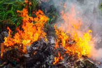 Nỗ lực dập lửa giữa trưa nắng nóng, một cụ bà tử vong thương tâm