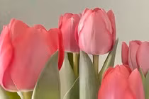 Trời cho lộc lớn: Người sinh 5 ngày Âm này buôn bán ắt bội thu 