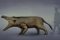 Cận cảnh loài thú ăn thịt lớn nhất từng tồn tại trên quả đất 