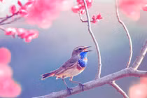 Năm 2023, 3 con giáp làm ăn thịnh vượng, sau Tết gặp quý nhân