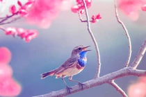 Năm 2023, 3 con giáp làm ăn thịnh vượng, sau Tết gặp quý nhân