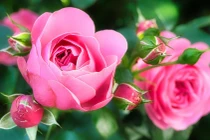 Người sinh 4 ngày Âm này, khôn khéo hơn người, càng già càng vinh hiển