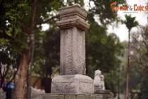 Giải mã bí ẩn của cây hương đá trong tâm linh người Việt