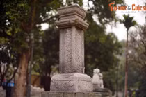 Giải mã bí ẩn của cây hương đá trong tâm linh người Việt