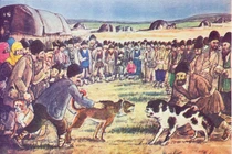 Cuộc chiến tranh nào có hơn 500.000 chú chó tử trận?