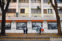 Check-in “Con đường lá vàng” tuyệt đẹp bên ngoài Báo Nhân Dân