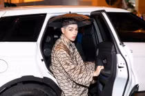 Dàn sao Việt tuổi Tý sở hữu nhan sắc, tài năng, gia sản "khủng"