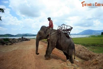 Loạt khoảnh khắc khó quên trên các cung đường Tây Nguyên