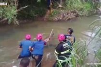 Video: Thu phục cá sấu khủng lang thang gần nhà dân