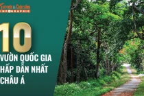 [INFOGRAPHIC] 10 Vườn quốc gia hấp dẫn nhất châu Á