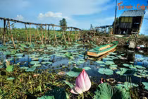 Những tiết lộ bất ngờ về tên gọi địa danh Đồng Tháp Mười 