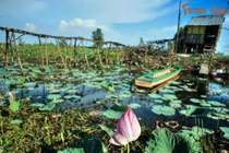 Những tiết lộ bất ngờ về tên gọi địa danh Đồng Tháp Mười 