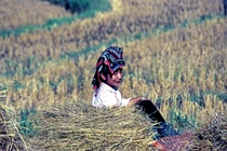 Ảnh hiếm có Điện Biên Phủ những năm 90 qua ống kính người Pháp 