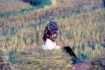 Ảnh hiếm có Điện Biên Phủ những năm 90 qua ống kính người Pháp 