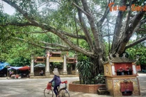 Khám phá ngôi chùa là “điểm du lịch Di tích quốc gia đặc biệt” 