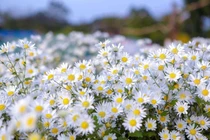 Trẻ sinh vào 6 ngày Âm này trời ban phúc khí, về sau thành tài