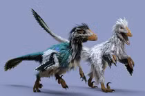 Sự thật cực lý thú về lông của các loài khủng long