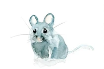 Nửa cuối tháng 4/2022, top con giáp quý nhân soi đường, tiền về như lũ 