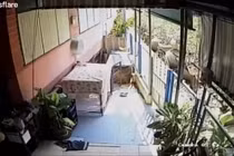 Video: Pitbull hung hăng tử chiến rắn hổ mang và cái kết bất ngờ