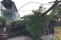 Dông lốc tại Bắc Kạn, hơn 1.200 ngôi nhà hư hỏng 