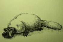 Loài vật độc lạ 'nửa thú, nửa bò sát' thú vị nhất hành tinh