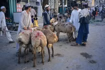 Bộ ảnh cực cuốn hút về cuộc sống ở Pakistan năm 1995 