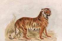 Từ giờ tới cuối năm 2022, 3 con giáp phát tài, vươn lên giàu sụ 