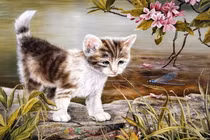 Con giáp nào vận trình trắc trở, gặp nhiều tai ương nhất năm 2025? 