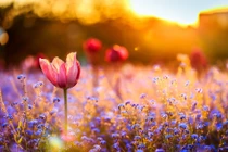 Sinh vào 3 tháng Âm lịch này, về già của cải nhiều như nước