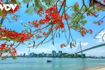 Sắc hè rực rỡ trên phố biển Hạ Long