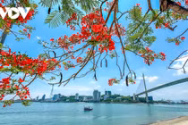 Sắc hè rực rỡ trên phố biển Hạ Long