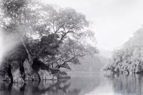 Ngây ngất cảnh thần tiên hồ Ba Bể năm 1927 do người Pháp chụp