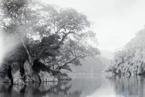 Ngây ngất cảnh thần tiên hồ Ba Bể năm 1927 do người Pháp chụp