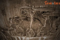 Các loài vật “Sách Đỏ” nào xuất hiện trên Cửu Đỉnh nhà Nguyễn? (1)