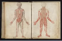 Chuyện ít biết về “thần y” số một của đế chế La Mã