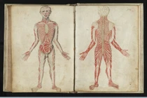 Chuyện ít biết về “thần y” số một của đế chế La Mã