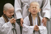 Ở đời, bạn bè không cần nhiều, chỉ cần ít nhưng tốt là đủ