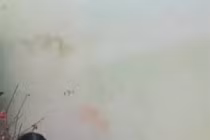 Du học sinh Hàn giả vờ không về quê ăn Tết, đoạn kết cảm động