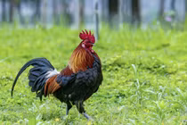 3 con giáp phúc sâu mệnh dày, tháng 3 Âm tài lộc công danh đại phát 