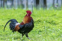 3 con giáp phúc sâu mệnh dày, tháng 3 Âm tài lộc công danh đại phát 