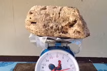 Nhặt được khối xấu xí trôi dạt, ngư dân nghèo sắp “ôm mỏ tiền” 