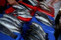 Khi đi chợ, 4 loại cá này dù giá rẻ cũng nên tránh xa