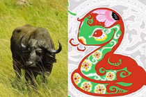 Tuần mới: 3 con giáp phát tài, vừa ra Tết đã rủng rỉnh tiền tiêu 