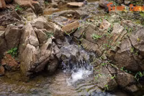 Bí ẩn của dòng suối chảy qua làng cổ Thiên Xuân 