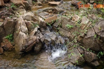 Bí ẩn của dòng suối chảy qua làng cổ Thiên Xuân 